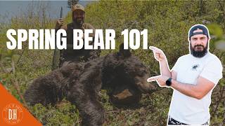 Find More Bears this Spring - PROVEN Methods!