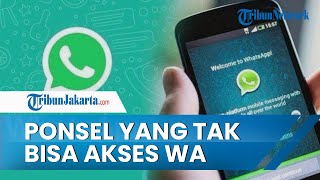WhatsApp per 1 November 2021 Tidak Bisa Digunakan di Beberapa Ponsel Ini