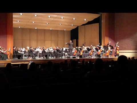 NHS Symphonic Orchestra March 2021