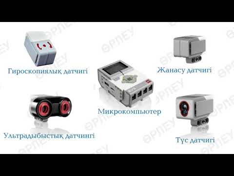 Синоним датчика 5 букв