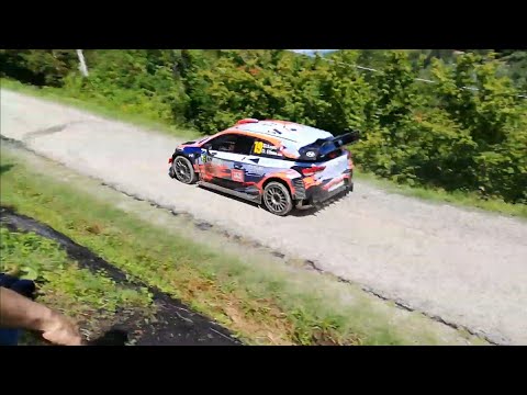 Sebastian Loeb - Hyundai i20 WRC+ - Rally di Alba 2019