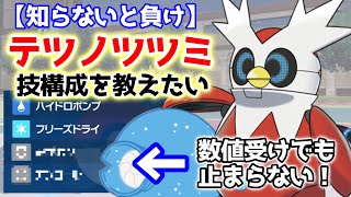 【ポケモンSV】この技構成のテツノツツミがマジで強い