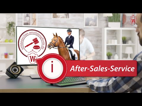 After-Sales-Service