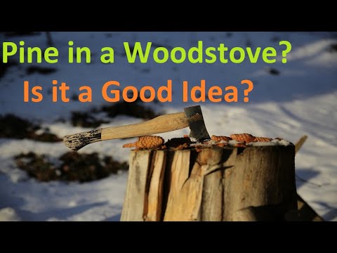 Can I Burn Pine in a Woodstove or Fireplace?