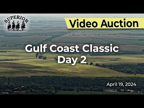 Superior Livestock Auction - Gulf Coast Classic Day 2