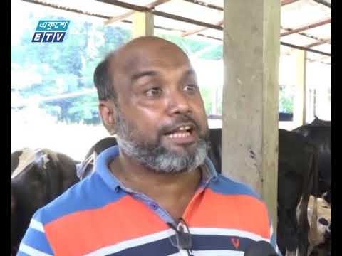 চট্টগ্রামে কয়েক হাজার মানুষ দুধের খামার করে স্বাবলন্বী