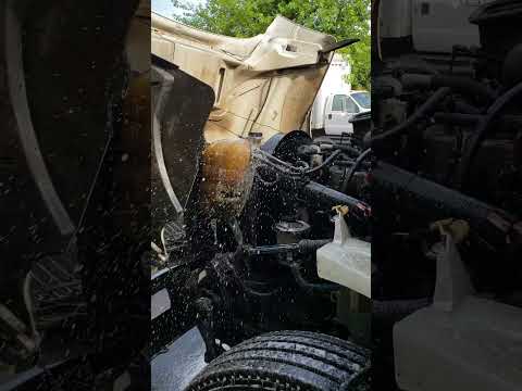 Dt466 Blown head gasket #dt466 #international #diesel #mechanic