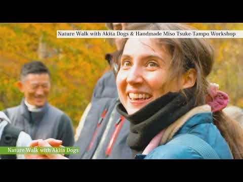 Meet an Akita Dog and Make Traditional Kiritanpo with a Local Host