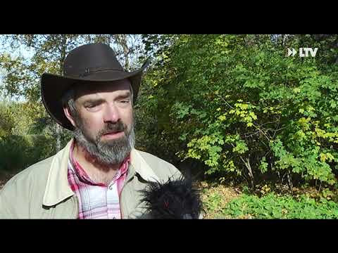 Ben muss operiert werden - 02.11.2015