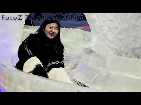 FotoZ Smartphone Collection