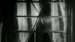 dieradiodie - As Soon As Beauty Dies