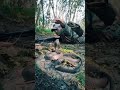 Soldier Vs Snake Viral Video L Shorts Army Snake Fauji Viral