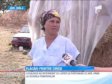 20 de hectare de vegetatie uscata au luat foc in satul Livezi din Dolj