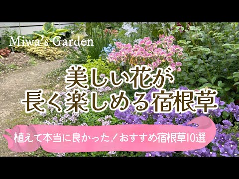 冬の美しい庭を作る、凍らない屋外植物10選  庭園