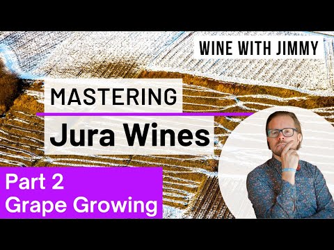 WSET Level 4 (Diploma) Mastering Jura Part 2: The Growing Environment and Grape Growing