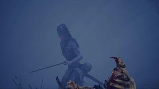 Hellblade: Senua's Sacrifice Path of illusion  -hard