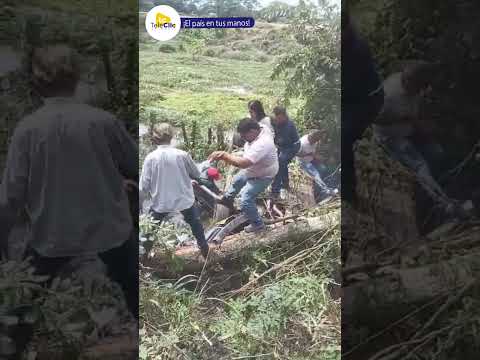 🚨 Cinco h3ridos tras @ccid3nte en la vía Agustín Codazzi–Becerril #Cesar  #AccidenteVial