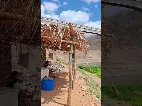 Patinhos de General Sampaio Ceará #shortes #shorts #turismo #sertão #ceará #ceara #açude #turistas