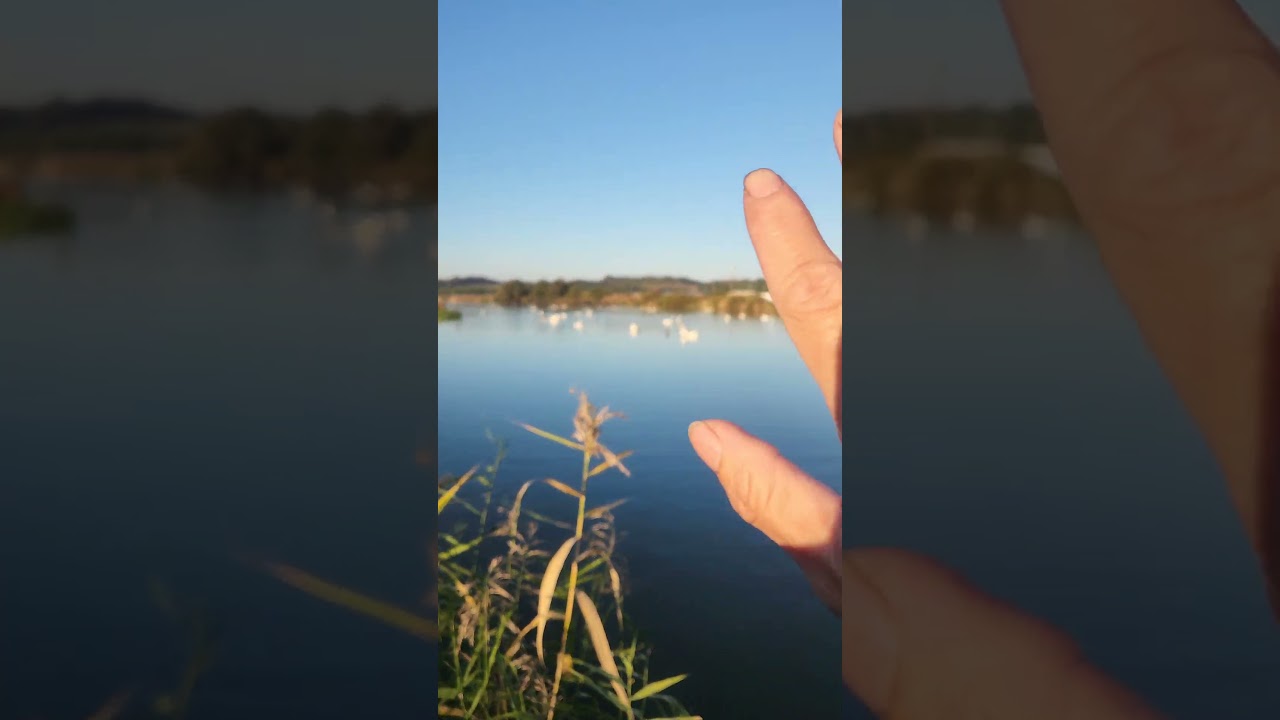 これが朝の！！！