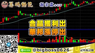【大戶羅盤籌碼動能】 #謝宗霖1204，合晶獲利出 華邦漲停出 (圖)