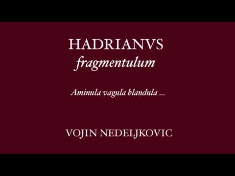 Viva Voce 18 Hadrianus - Vojin Nedeljkovic "Aminula vagula blandula"