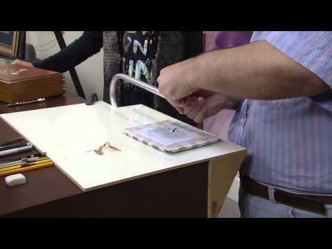 Mulher.com 20/05/2014 - Marchetaria floral sombreado por Flavio Alonso