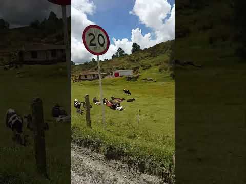 rodada de Entre Ríos Antioquia a Don Matías maravillosos paisajes