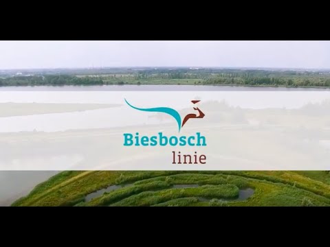 VLOTT #125: BIESBOSCHLINIE DEEL 1