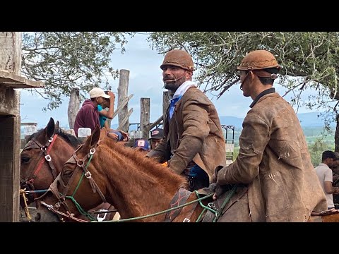 VAVÁ JUNIOR TOURNAMENT DISPUTE (SANTA FE) 💥🙏🏽✅