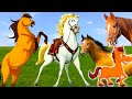 Learn About The Horse The Sound Of The Horse Horse Neigh