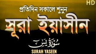 🤲 Jadoo, Nazar Aur Pareshani Ka Ilaj – Surah Yaseen Ki Barkat