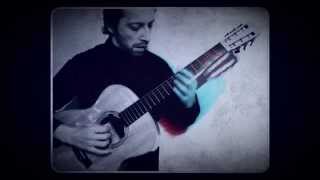 ERiK SATIE - Danses De Travers - WW guitar solo by Danilo DiPrizio
