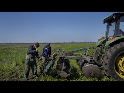 Agricultores ucranianos arriscam a vida para desminar campos