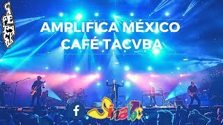 Amplifica México - Café Tacvba - Completo