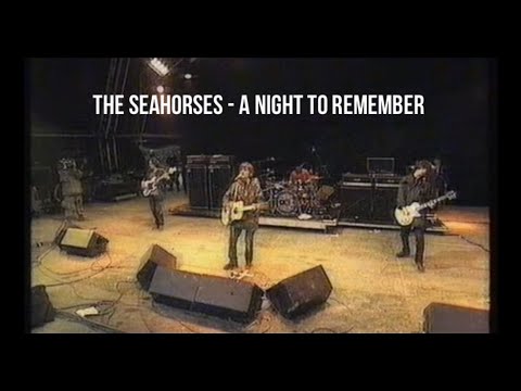 The Seahorses - A Night To Remember - 1997 Live Compilation (Audio)
