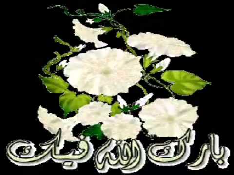 ®.pendimi i sinqert.©