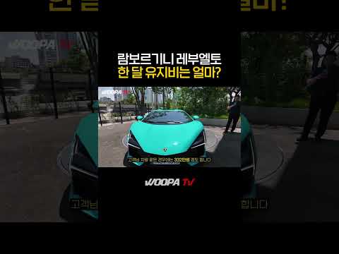 람보르기니 레부엘토 한달 유지비는?! #lamborghini #revuelto #람보르기니 #우파푸른하늘