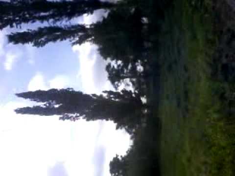 Plopu (Teremia Mare)