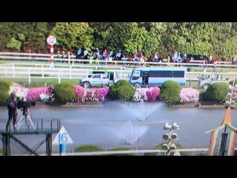 タマトーク  天皇賞 春