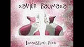 xavier baumaxa - pan farář