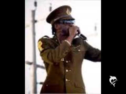 Bounty killer - roots and reality  ( REAL ROCK RIDDIM)