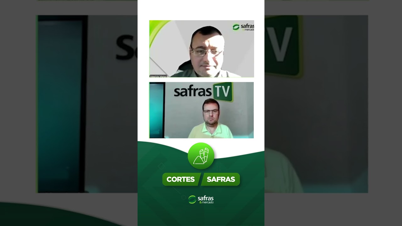 O que está movimentando o mercado de açúcar neste momento?