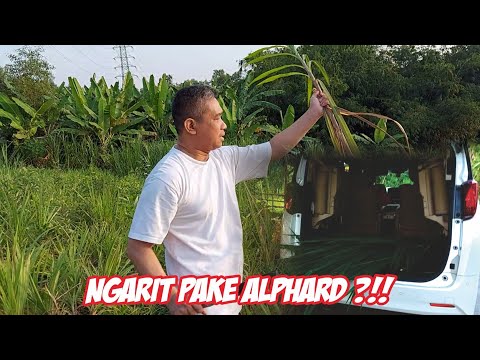 Ngarit Bareng Ketum APPSI Pake Mobil Mewah ⁉️