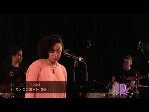 Nubiyan Twist: 'Crocodile Song'