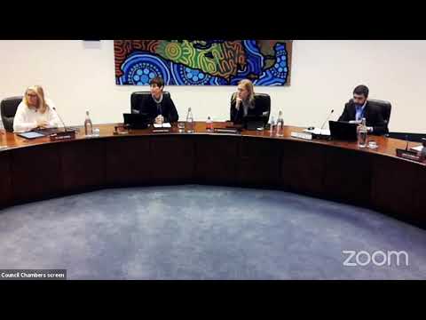 COVID-19 Relief and Recovery Committee