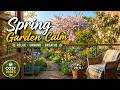 🌿 Spring Garden Calm 🌸 | Relax • Unwind • Breathe