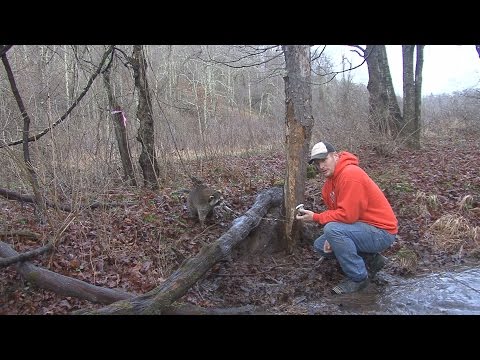 Trapping Time, Season 2 Episode 3