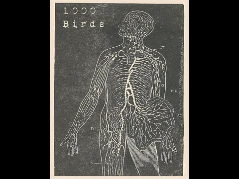 One Thousand Birds (US) - - Sleep Study 11.11.17 (Demo 2017)