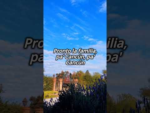 Va y Viene remix - Arte Elegante & Pailita (Letras&Lyrics)