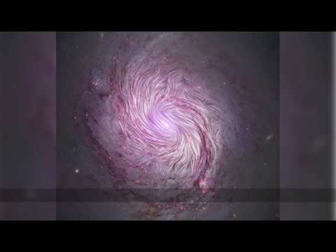 The Magnetic Fields of Spiral Galaxy M77 / GALAXY GALLERY